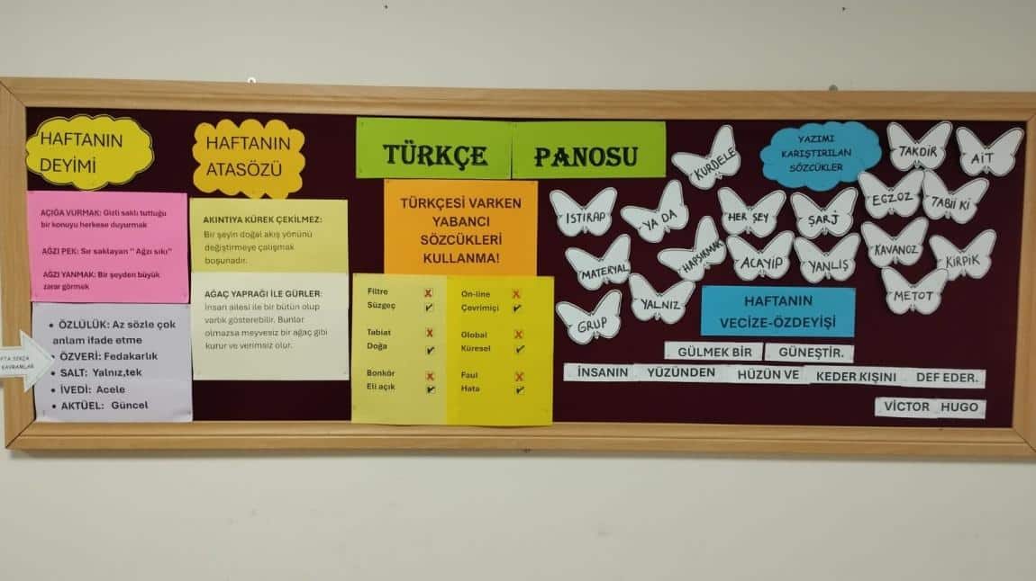 Okul Türkçe Panomuz